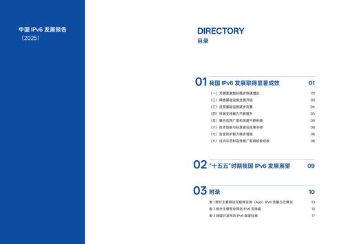 我國(guó)IPv6發(fā)展實(shí)現(xiàn)跨越式突破 2025年活躍用戶達(dá)8.65億推動(dòng)互聯(lián)網(wǎng)開(kāi)發(fā)與應(yīng)用